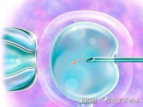 今年新生男宝宝取名大全