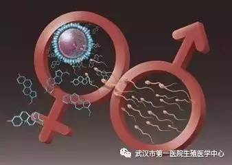 着床成功