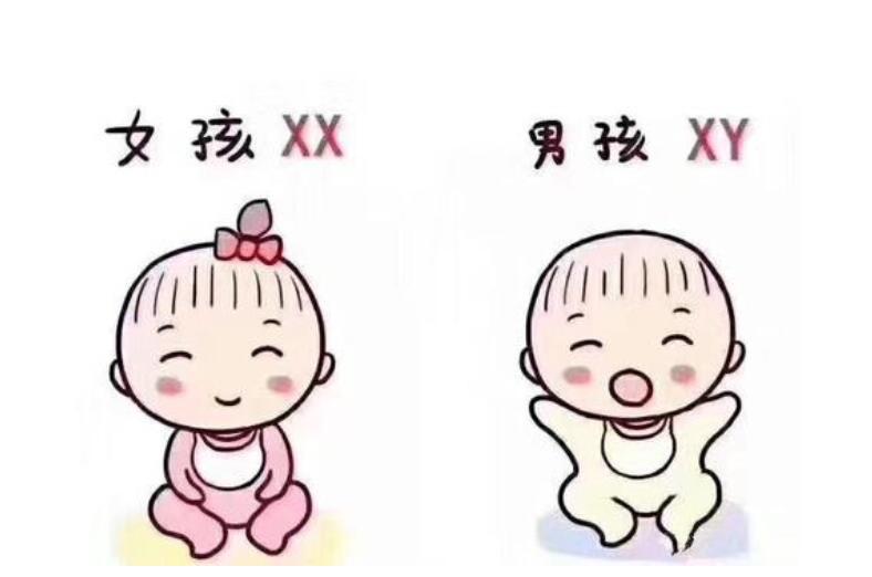 优秀小学家长育儿故事