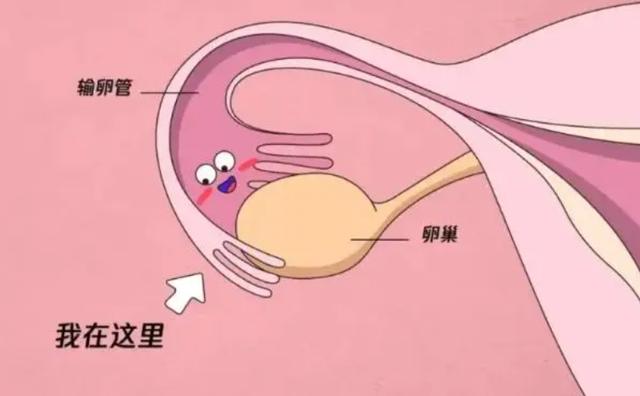 人流计算