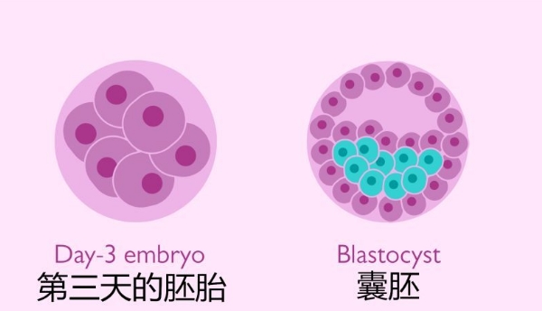 人流术后洗头