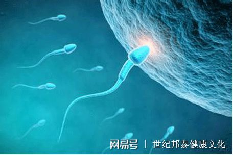 人流后