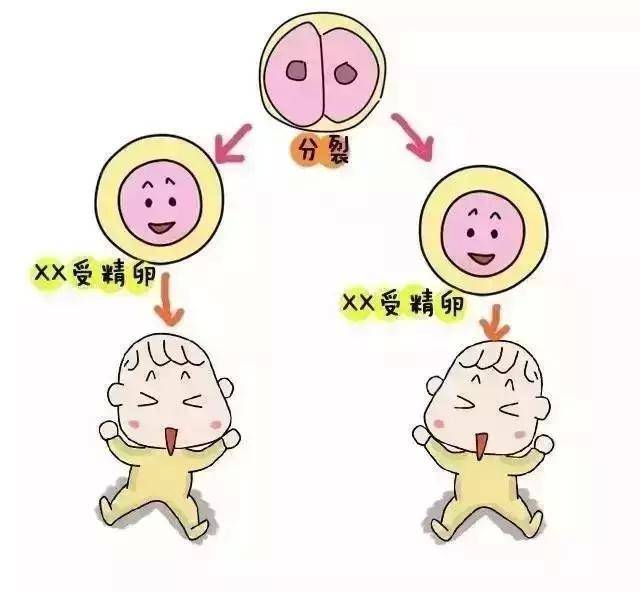 怀孕