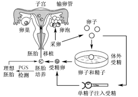人流术后恢复