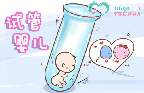 不育系繁殖