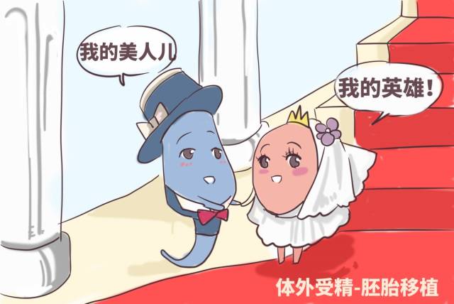 人流术后坐月子