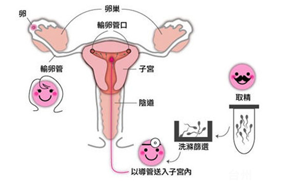 怀孕动作
