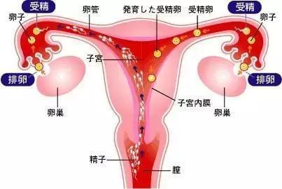 小产权房