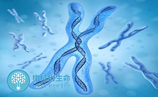 易受孕体质