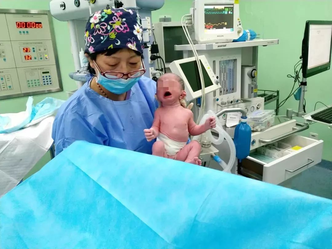卵子捐赠