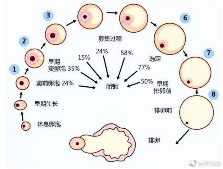 卵巢早衰