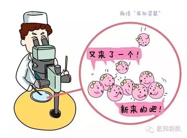 卵巢早衰