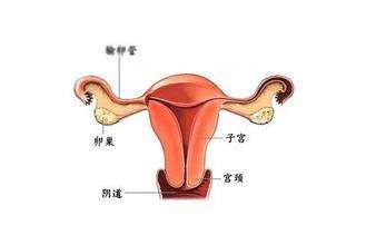 卵巢早衰