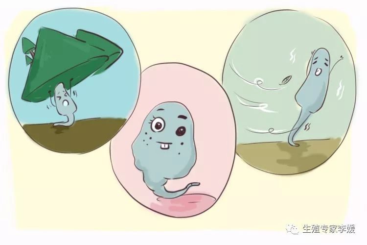 卵巢早衰